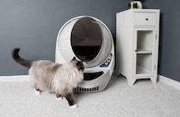 Elevated Self-Cleaning Litter Boxes Image 3