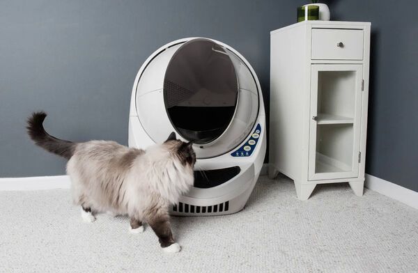 Litter robot outlet shelf