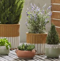 Accessible Outdoor Living Collections Image 8