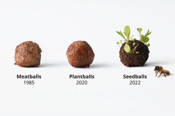 Insect-Targeted Meatballs