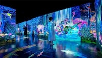 Immersive Digital Forests