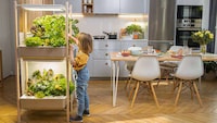 In-House Gardening Devices Image 1