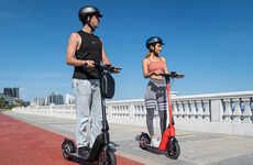 Off-Road Electric Scooter Models
