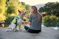 Outdoor Dog Gear Image 1