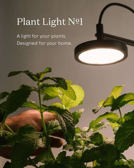 Indoor Plant Lights