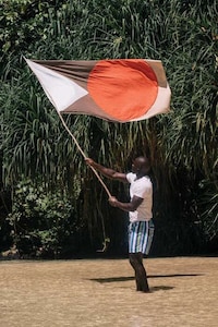 Home-Defining Artistic Flags Image 4