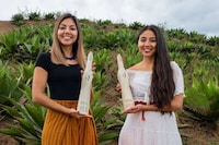 Ultra-Premium Artisanal Mezcals Image 1