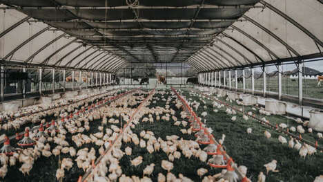 Mobile Chicken Coops