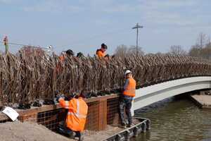 Flax-Made Bridges Article Thubnail