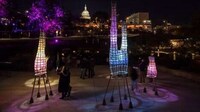 Sculptural Biomaterial Lights