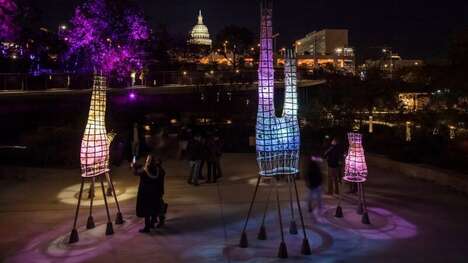 Sculptural Biomaterial Lights