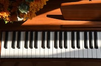Eco-Friendly Digital Pianos Image 2