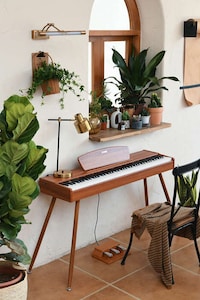 Eco-Friendly Digital Pianos Image 5