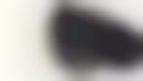 Automatic Dive Timepieces