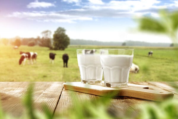 Pro-Dairy Campaigns