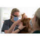 Smart Glasses Veterinary Care Image 1