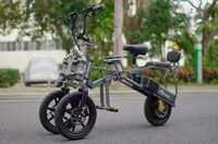 Structurally Supportive Electric Bikes Image 4