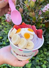 Blueberry Pancake Frozen Yogurts Image 2