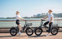 Thick-Tired Cargo E-Bikes