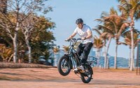 Thick-Tired Cargo E-Bikes Image 3