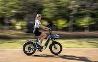 Thick-Tired Cargo E-Bikes Image 4