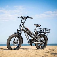Thick-Tired Cargo E-Bikes Image 5