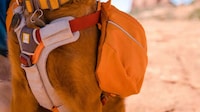 Stabilized Dog Hiking Backpacks Image 3