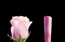Anti-Inflammatory Rose Petal Cones
