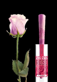 Anti-Inflammatory Rose Petal Cones