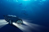 Lavish Entertaining Submarines Image 1