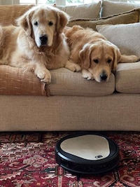 Pet-Friendly Robot Vacuums Image 4