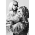 Luxury Dog Accessories - CELINE Channels Hedi Slimane's Dog for a New Pet Accessories Launch (TrendHunter.com)