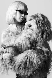 Luxury Dog Accessories Image 1