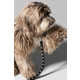 Luxury Dog Accessories Image 3