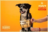 Tequila-Branded Pandemic Campaigns Image 2