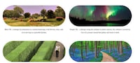 All Ages Therapeutic VR