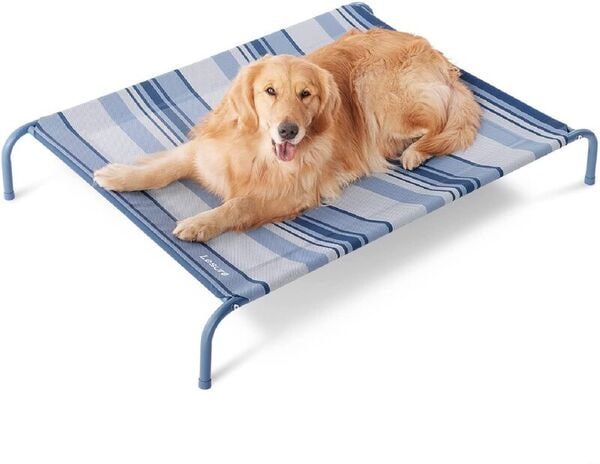 Travel-Ready Pet Products
