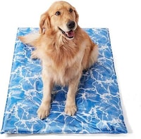 Travel-Ready Pet Products Image 3