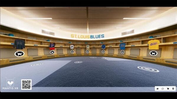 Immersive Hockey Merchandise Retailers