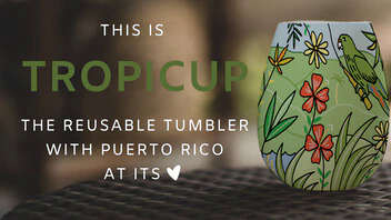 Unbreakable Portable Cups