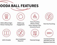 Freestyle Ball-Shaped Punching Bags Image 2