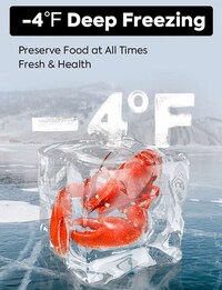 Ice-Free Fridge Coolers Image 2
