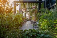 Jungle Brunch Toronto Restaurants Image 1