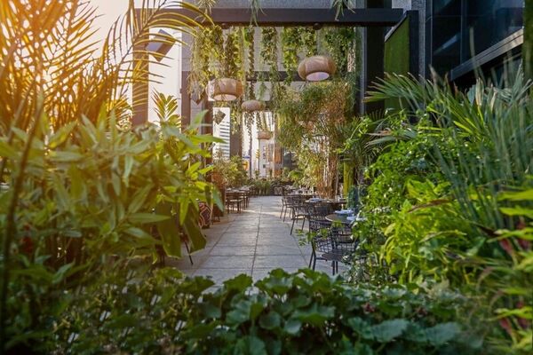 Jungle Brunch Toronto Restaurants