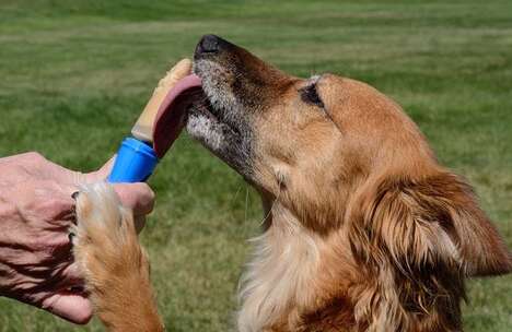 CBD Brand Dog Recipes