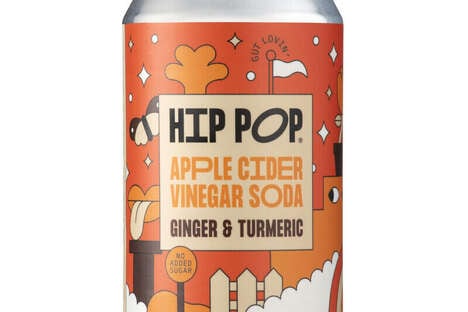 Apple Cider Vinegar Sodas