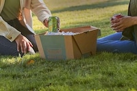 Recyclable Cooler Designs