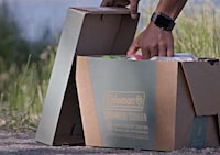 Recyclable Cooler Designs Image 3