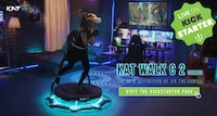Action-Packed VR Treadmills