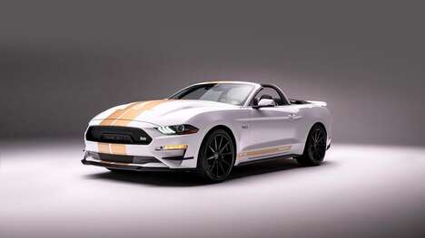 Racing Vehicle Rental Services
